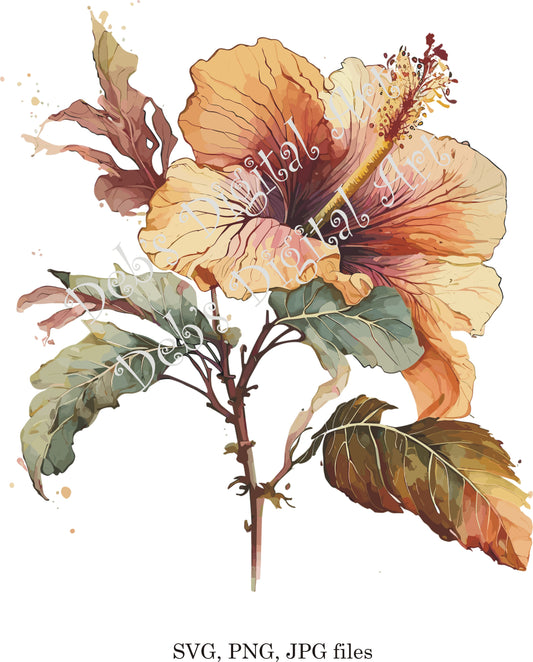 Watercolor botanical Hibiscus beige brown flower plant digital clipart, vector, png. jpg, jpeg, svg wall art, graphic