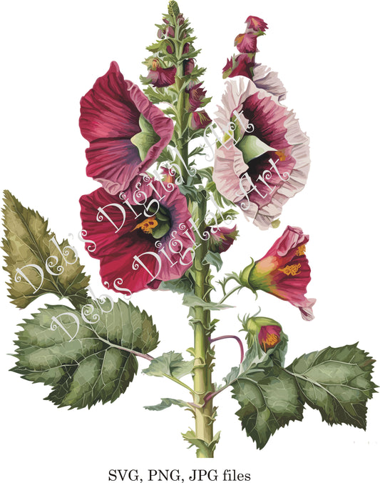 Watercolor botanical Hollyhock Jeweltone Burgundy flower plant digital clipart, vector, png. jpg, jpeg, svg wall art, graphic