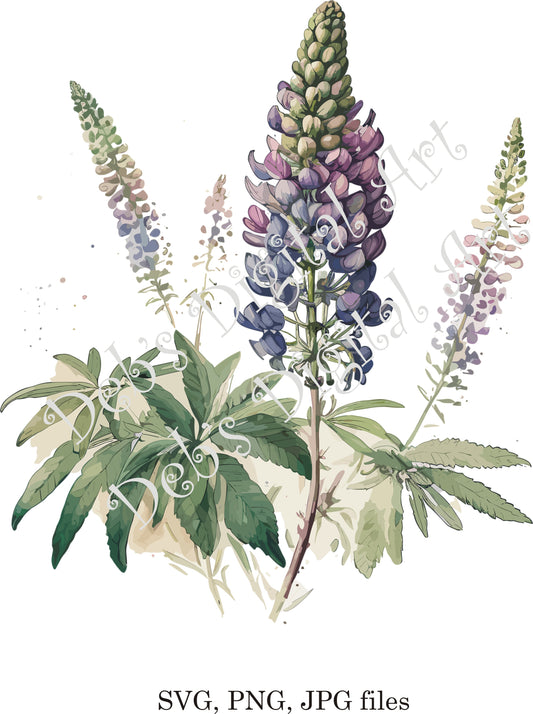 Watercolor botanical Lupin purple flower plant digital clipart, vector, png. jpg, jpeg, svg wall art, graphic