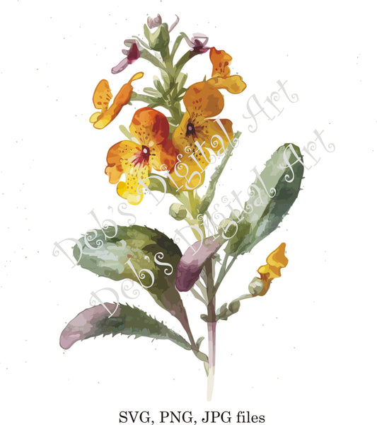 Watercolor botanical Mimulus Spotted yellow flower plant digital clipart, vector, png. jpg, jpeg, svg wall art, graphic